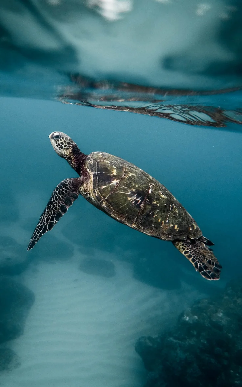 B2B-Marketing im Jahr 2026: Was sich tatsächlich verändert und was nicht